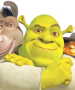 Shrek Friends Paint By Numbers