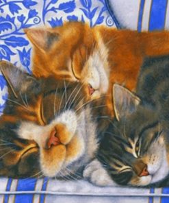 Sleepy Cats Pet Collection Paint By Numbers