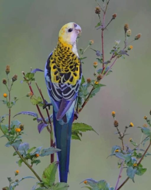 small-parrot-paint-by-numbers