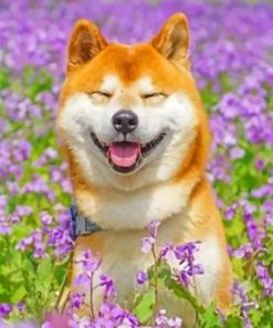 Smiling Shiba Inu Puppy Paint By Numbers