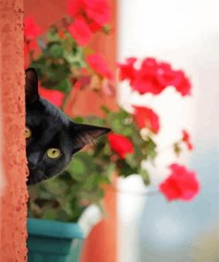 Black Cats with Flowers Paint By Numbers