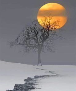 Winter Moonlit Scene Paint By Numbers