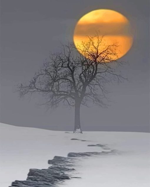 snow-moon-paint-by-numbers