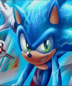 Title 1: Sonic Cartoon Adventure Paint By Numbers