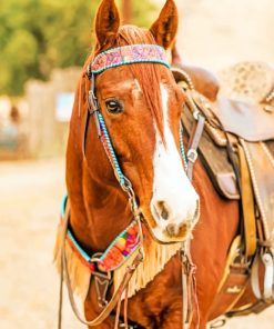 Sorrel Stallion Paint By Numbers