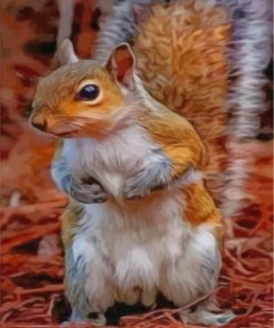 squirrel Adventure Paint By Numbers