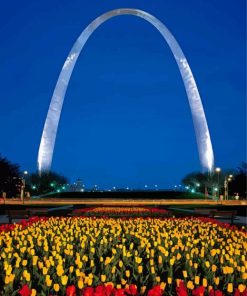 St. Louis Arch Missouri Paint By Numbers