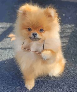 Stylish Dog Paint By Numbers