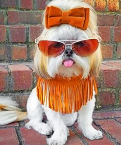 Stylish Shih Tzu Dog Paint By Numbers