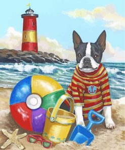 Boston Terrier Summer Paint By Numbers