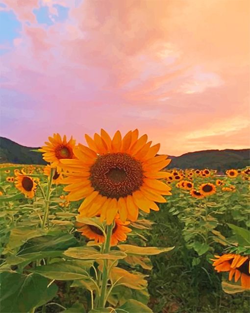 sun-flowers-paint-by-numbers
