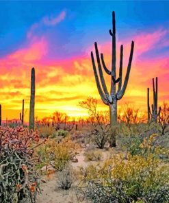 Sunset Saguaro Tucson Paint By Numbers