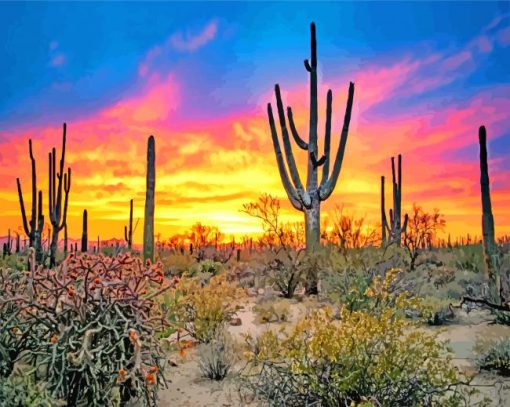 sunset-saguaro-national-park-Tucson-paint-by-number