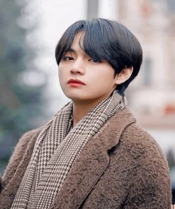 Taehyung BTS Idol Paint By Numbers