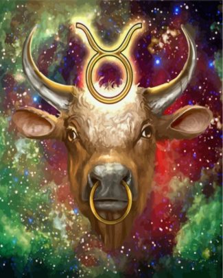 Taurus Horoscope Galaxy Paint By Numbers