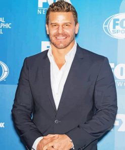 David Boreanaz Actor Paint By Numbers