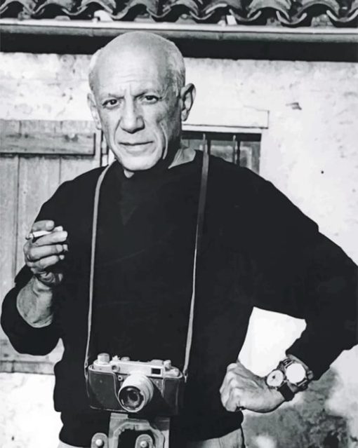 the-legend-Pablo-Picaso-paint-by-number