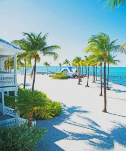 Florida Coastal Scenes Paint By Numbers