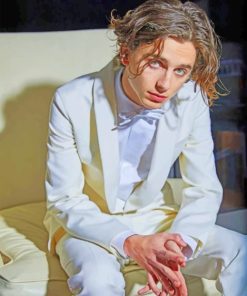 Timothee Chalamet White Suit Paint By Numbers
