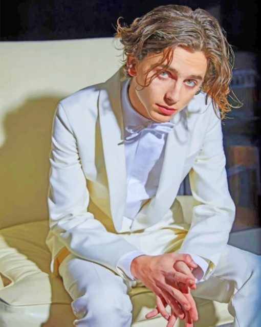 timothee-chalamet-with-white-suit-paint-by-number