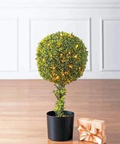 Festive Topiary Trees Paint By Numbers