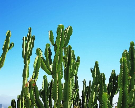 triangle-cactus-adult-paint-by-numbers