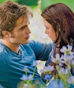 Twilight Vampire Romance Paint By Numbers