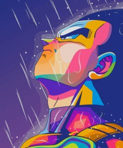 Vegeta Saiyan Dragon Ball Paint By Numbers