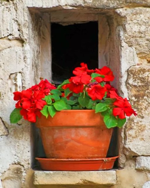 vintage-red-flower-paint-by-number