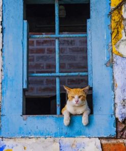Blue Window Cat Paint By Numbers