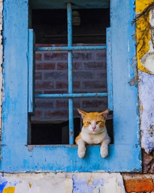 vintage-window-cat-paint-by-number