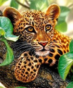 Leopard Wildlife Scene Paint By Numbers