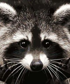 Raccoons in Costa Rican Wildlife Paint By Numbers