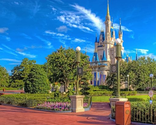 walt-disney-world-adult-paint-by-numbers