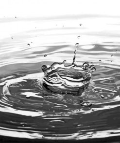 Black and White Water Drop Paint By Numbers