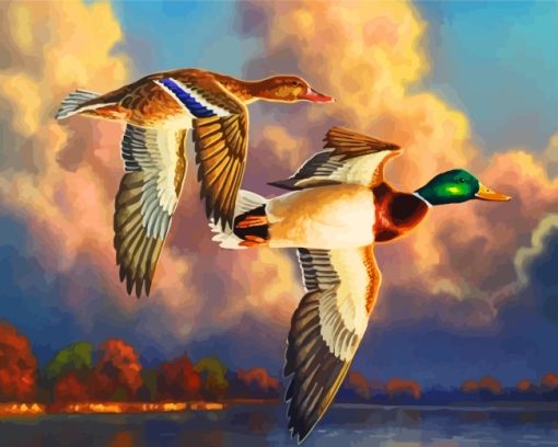 waterfowl-Birds-paint-by-numbers