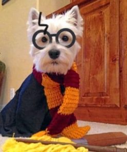 Westie Dog Paint By Numbers