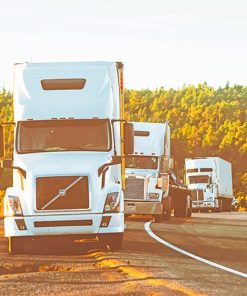 White Volvo Truck Adventure Paint By Numbers