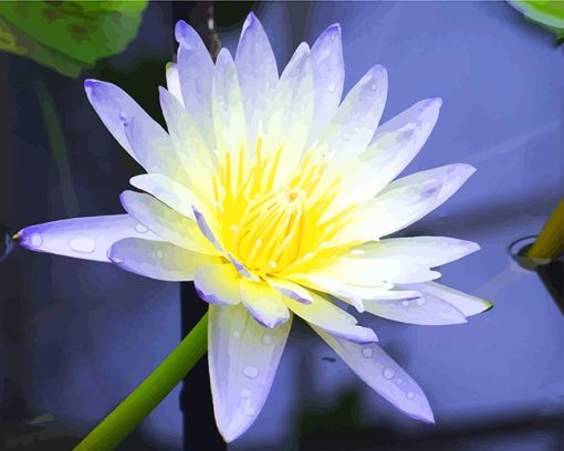 white-aquatic-plant-adult-paint-by-numbers