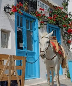 White Donkey in Greek Flowers Paint By Numbers