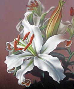 White Magnolia Floral Paint By Numbers