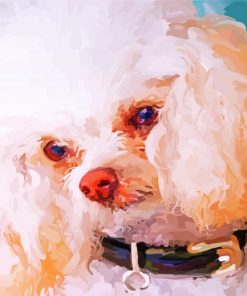 White Poodle Abstract Paint By Numbers