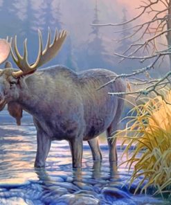 Lake Moose Wildlife Adventure Paint By Numbers