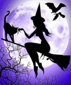 Witch And Cat Silhouette Paint By Numbers