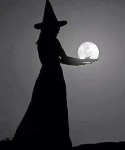 Moonlit Witch Paint By Numbers