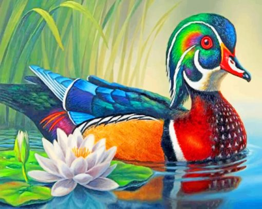 wood-duck-paint-by-number