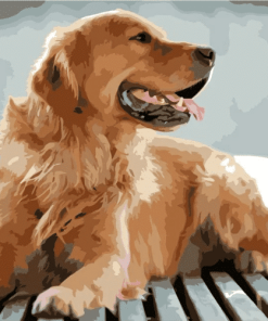 Custom Pet Portrait Paint By Numbers