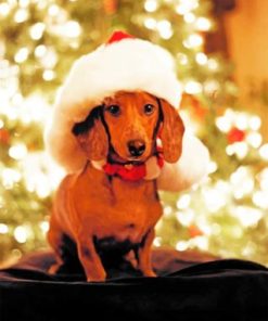 Festive Dachshund Dogs Paint By Numbers