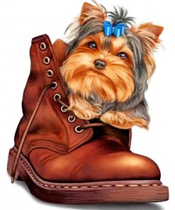 Yorkshire Terrier In A Boot Paint By Numbers