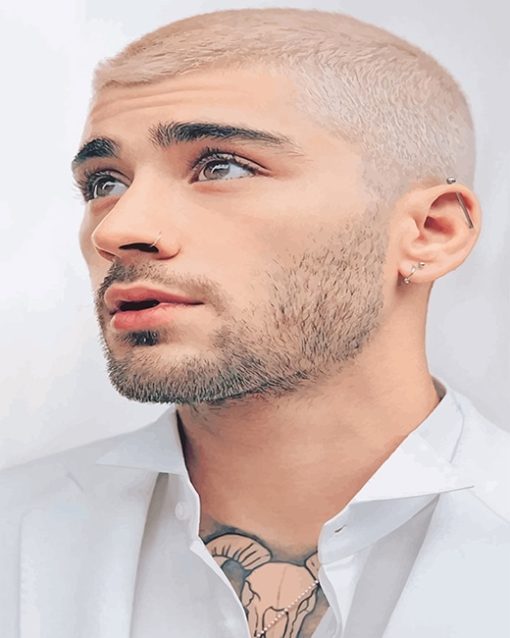 zaynmalik-paint-by-numbers
